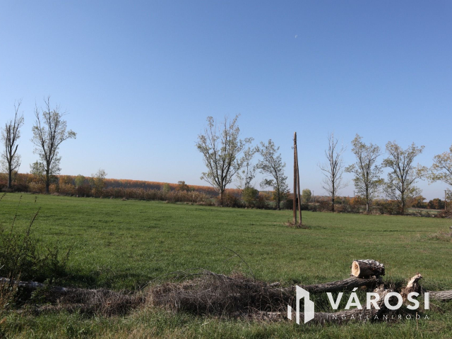 Többcélú hasznosításra alkalmas gazdasági ingatlan!