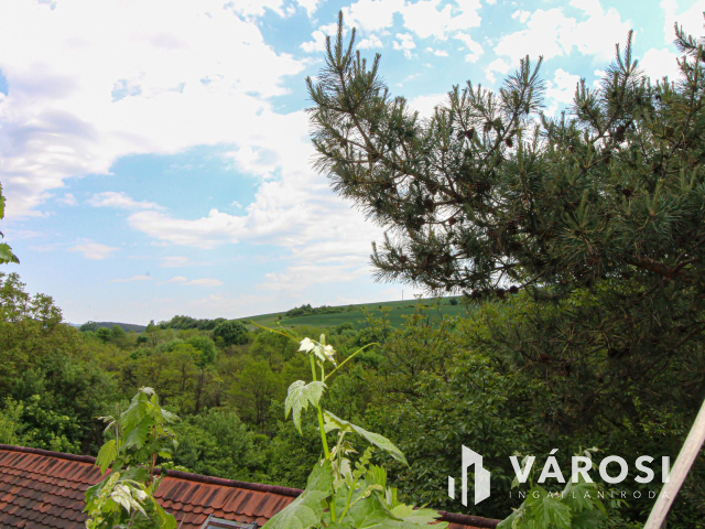 Megosztható telek, két családi házzal Únyon