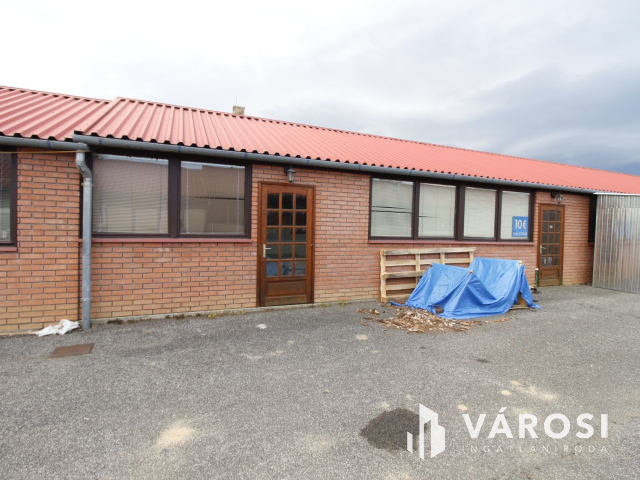 Ez nem üvegtigris, ez jobb! Ez Fapuma