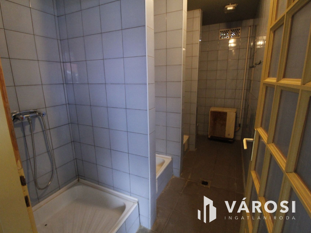 Ez nem üvegtigris, ez jobb! Ez Fapuma