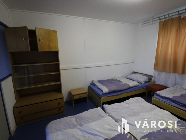 Ez nem üvegtigris, ez jobb! Ez Fapuma