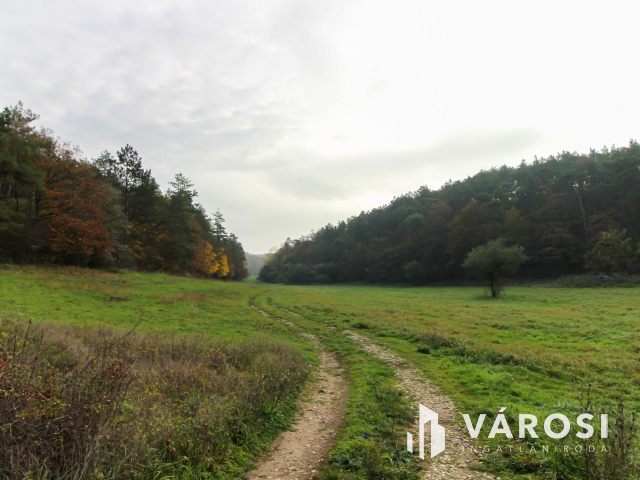 Elvonulni vágyók figyelmébe, panoráma, erdő a szomszéd
