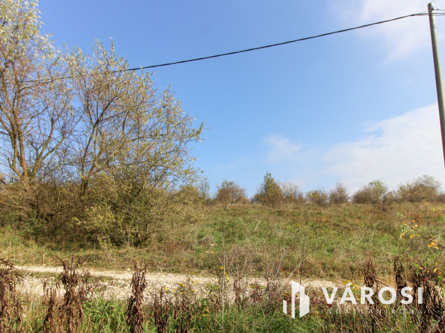 Elvonulni vágyók figyelmébe, panoráma, erdő a szomszéd