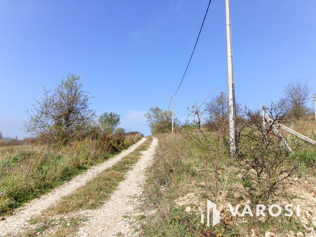 Elvonulni vágyók figyelmébe, panoráma, erdő a szomszéd