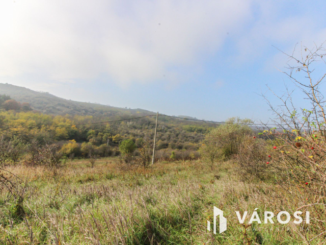 Elvonulni vágyók figyelmébe, panoráma, erdő a szomszéd