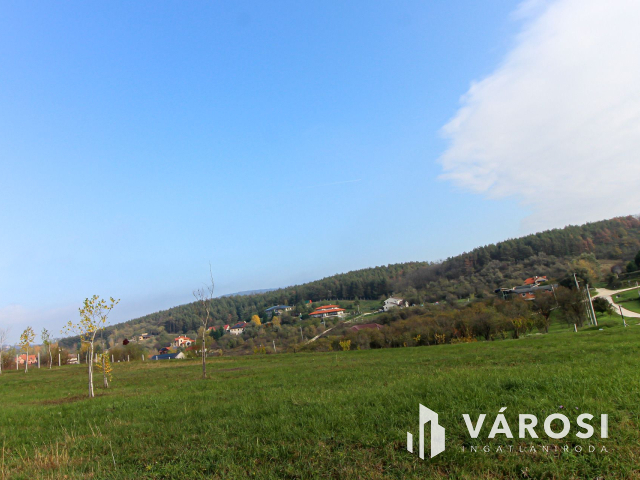 Elvonulni vágyók figyelmébe, panoráma, erdő a szomszéd