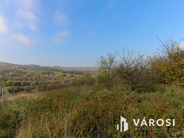 Elvonulni vágyók figyelmébe, panoráma, erdő a szomszéd