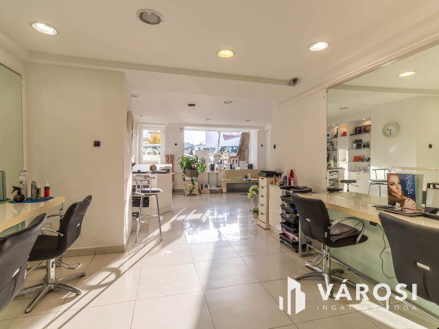 Polgári jellegű magánház Szeged belvárosában