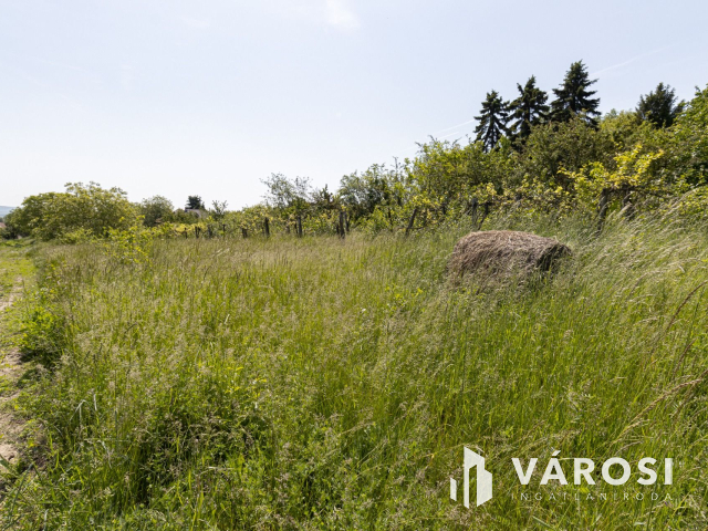 Zsámbékon, Kálvária domb aljában, építési telek eladó