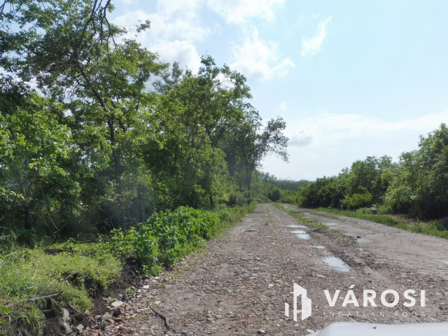 Mindenre alkalmas telephely eladó!