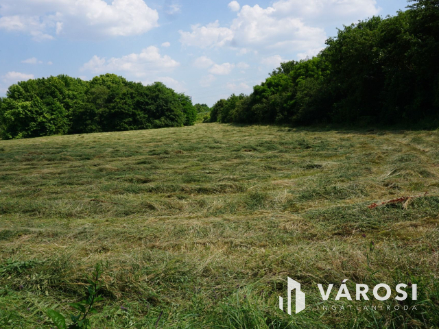 A lehetőségek telke a Solymárvölgyi úton!