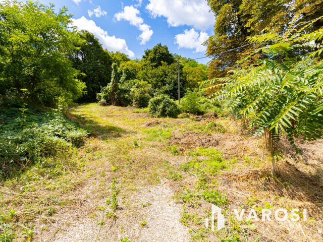 Pilismaróton, belterületi telek, most akciós áron eladó