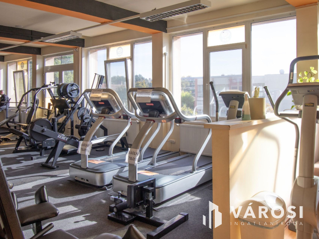 Korszerű ipari ingatlan napelemmel, városközpontban!