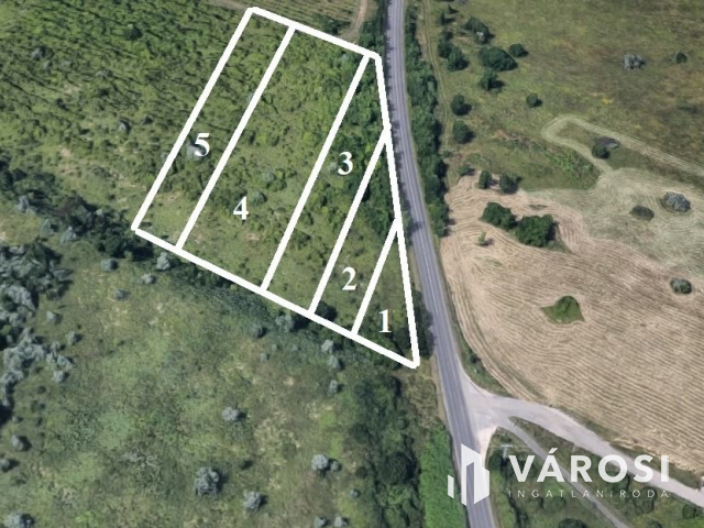 A lehetőségek telke Budakeszin ár alatt!