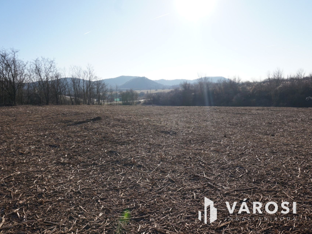 A lehetőségek telke Budakeszin ár alatt!