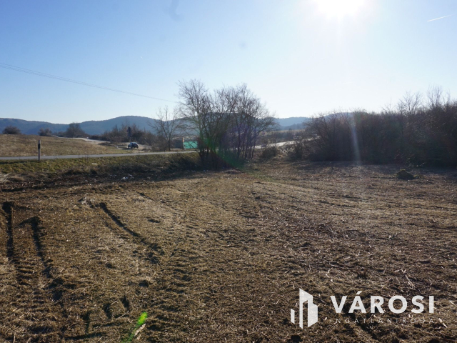 A lehetőségek telke Budakeszin ár alatt!