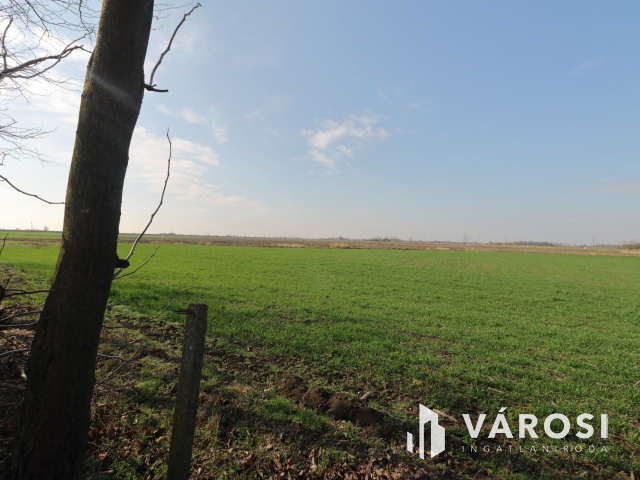 Két generációs gazdálkodásra alkalmas tanya