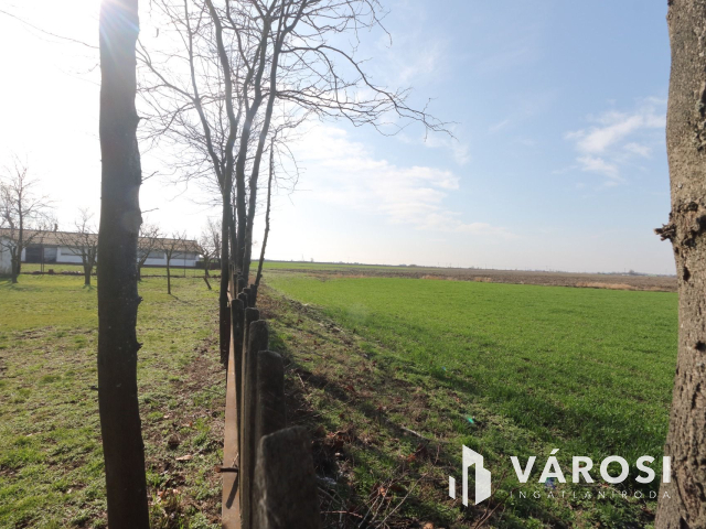 Két generációs gazdálkodásra alkalmas tanya