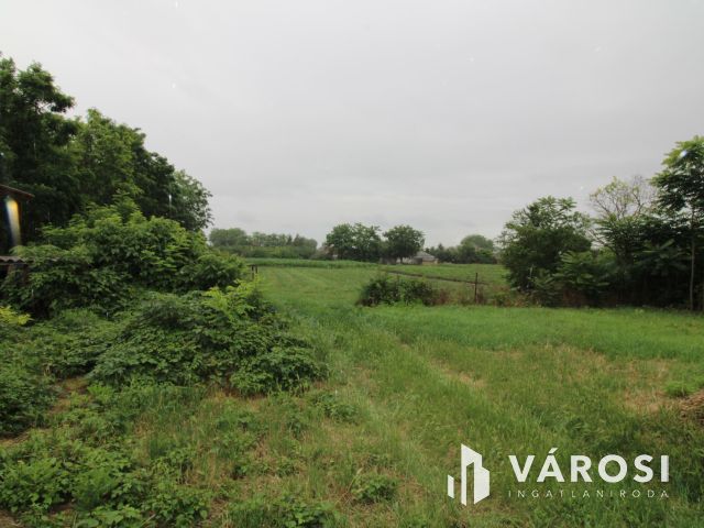 2 szobás ház Kunágotán, nagy telekkel.