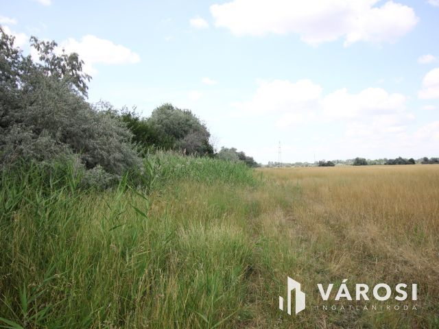 Nomád állattartásra alkalmas