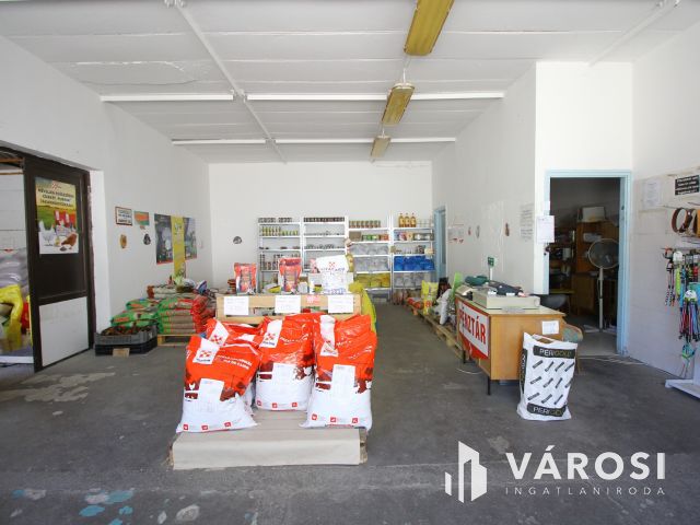 Kisteleken, központi üzlethelyiséget kínálok