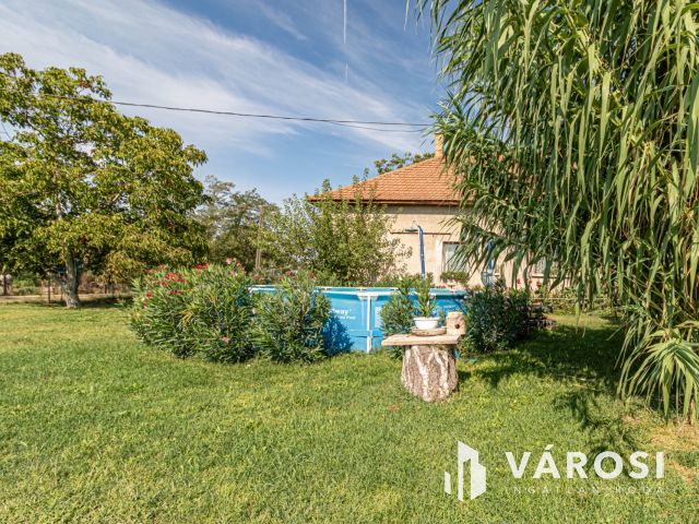 Gazdálkodásra, fóliázásra alkalmas Szatymazi tanya