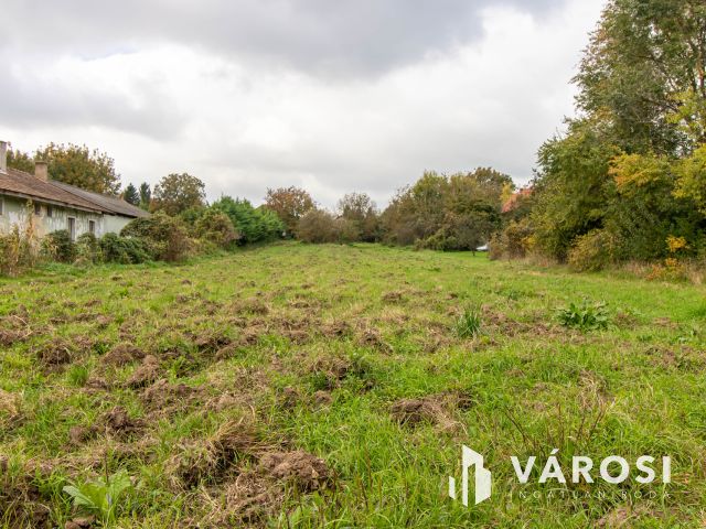 Akár 5 telek kialakítására alkalmas belterületi telek