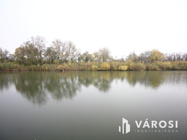 "Paradicsomban" a Kurca parton