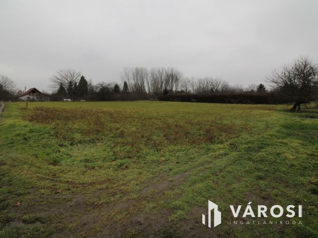 Szanazughoz közeli tanya eladó.