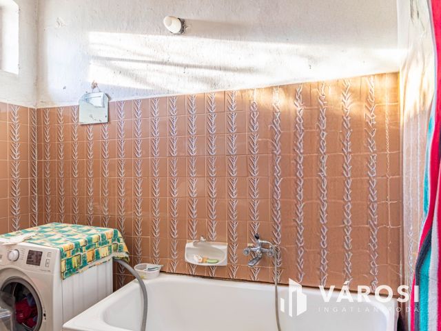 Tanyasi otthon Domaszék közelében, nyugodt környezetben