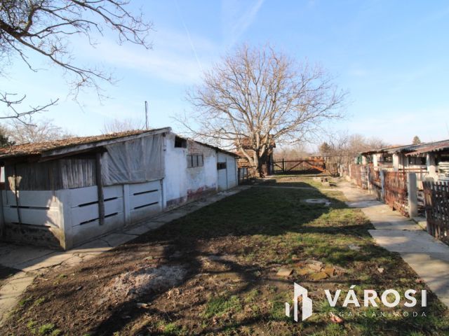 Jó elosztású ház, gazdálkodásra alkalmas telekkel.