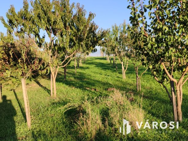 Átlagos állapotú, családi ház Sormáson