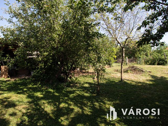 Belváros közeli udvari lakás zöld területtel, 2 garázzsal