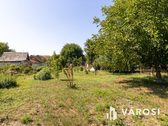 Családi ház Jaminában, nappali+3 szobával,nagy kerttel