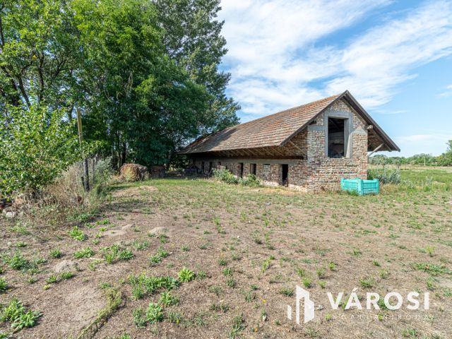 Gazdálkodásra, állattartásra alkalmas Ásotthalmi birtok