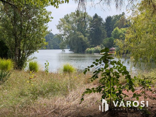 Nagy vízparti telek épületekkel a Kákafoki holtágon!