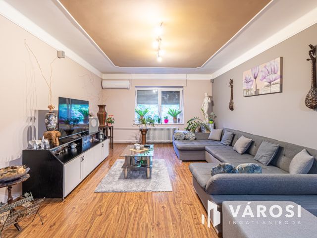 Domaszéki többgenerációs otthon vagy befektetési lehetőség