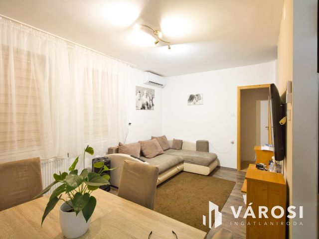 Vásárhelyen, Újkishomokon