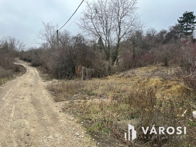 Zártkerti telek Békásmegyer felett!