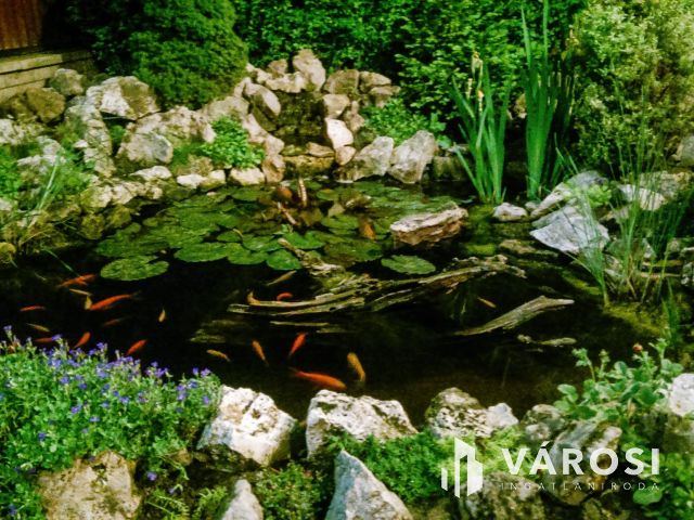 Hangulatos , otthonos családiház szigetszentmiklóson