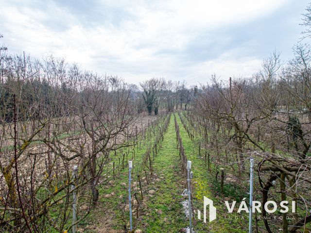 Kellemes, szomszédmentes kis zártkerti ingatlan