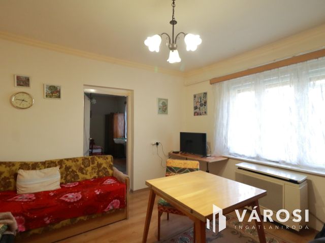 Kis családi fészek