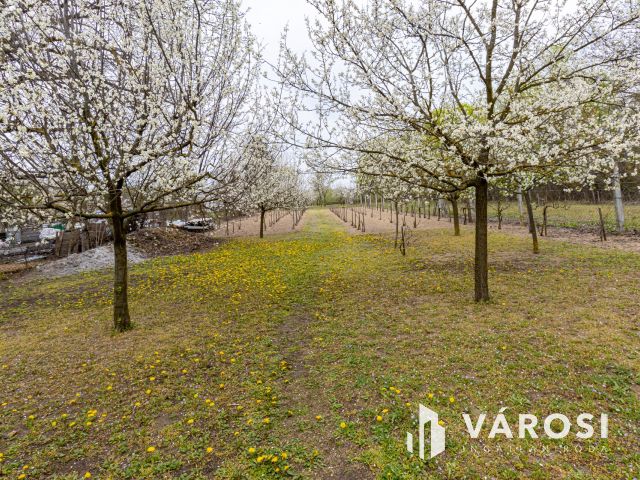 Művelés alól kivont zártkert, Szentmártonkátán eladó